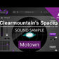 Apogee Clearmountain's Spaces (Download)