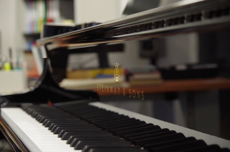 Pianoteq Steinway Model B (Download)