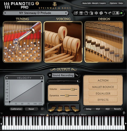 Pianoteq Steinway Model D (Download)